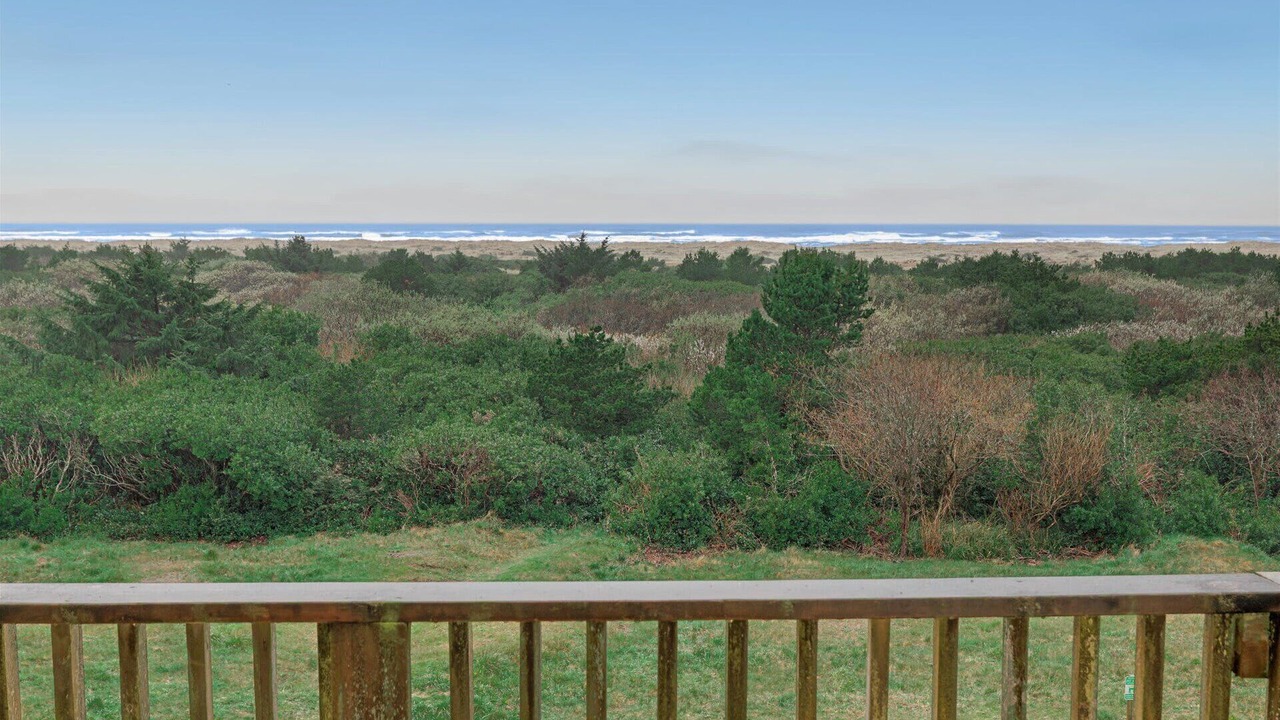 Photo of Outdoor in Ocean Shores