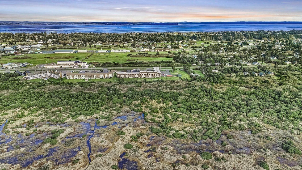 Photo of Outdoor in Ocean Shores