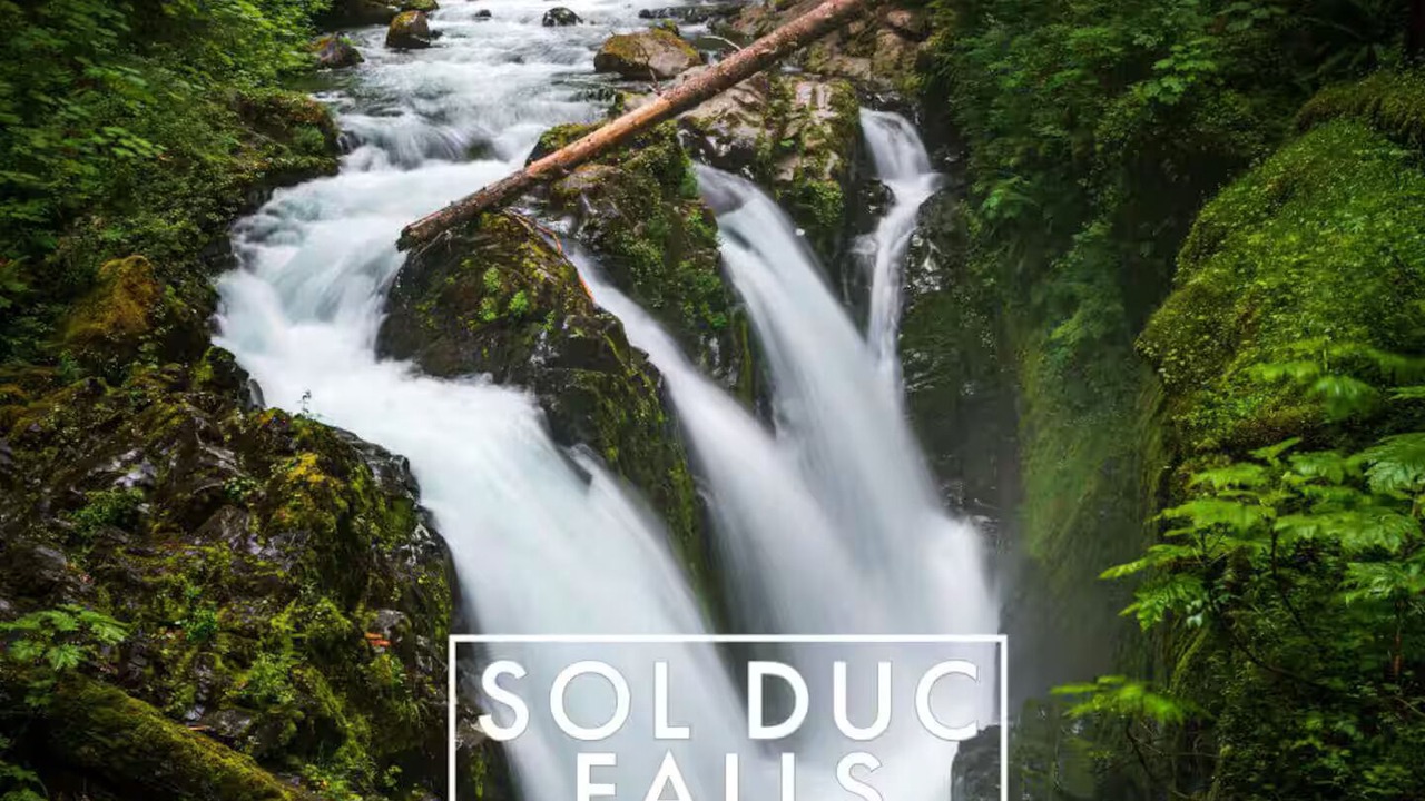 Photo of Others in Beaver