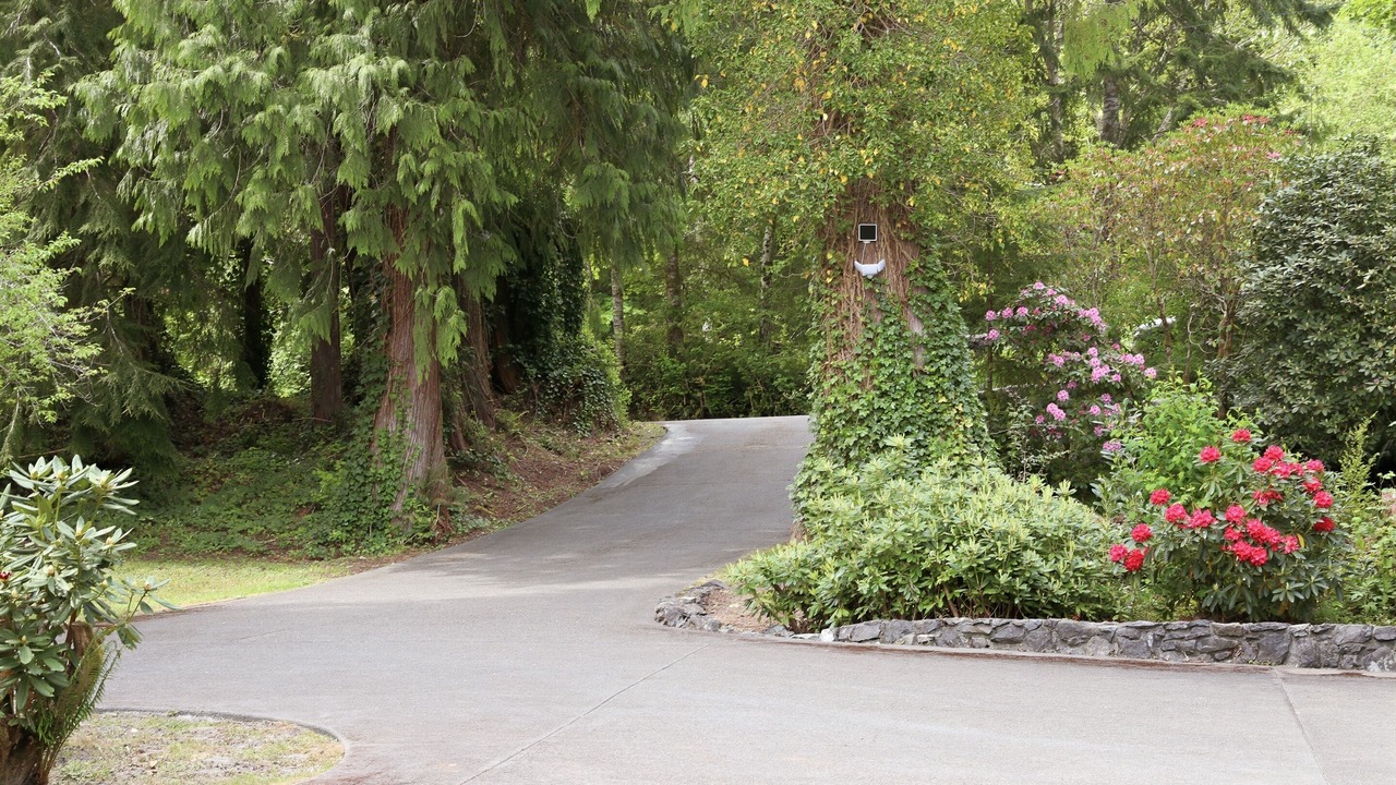 Photo of Outdoor in Amanda Park
