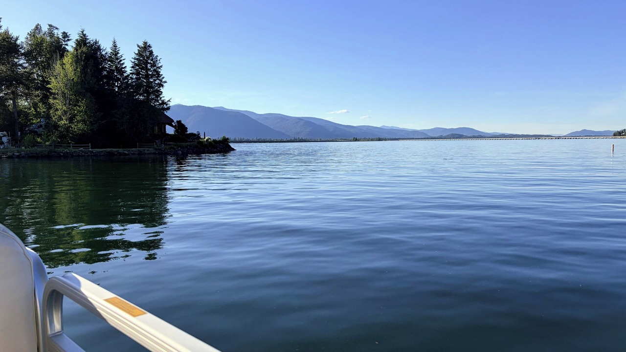 Photo of Others in Comeback Bay