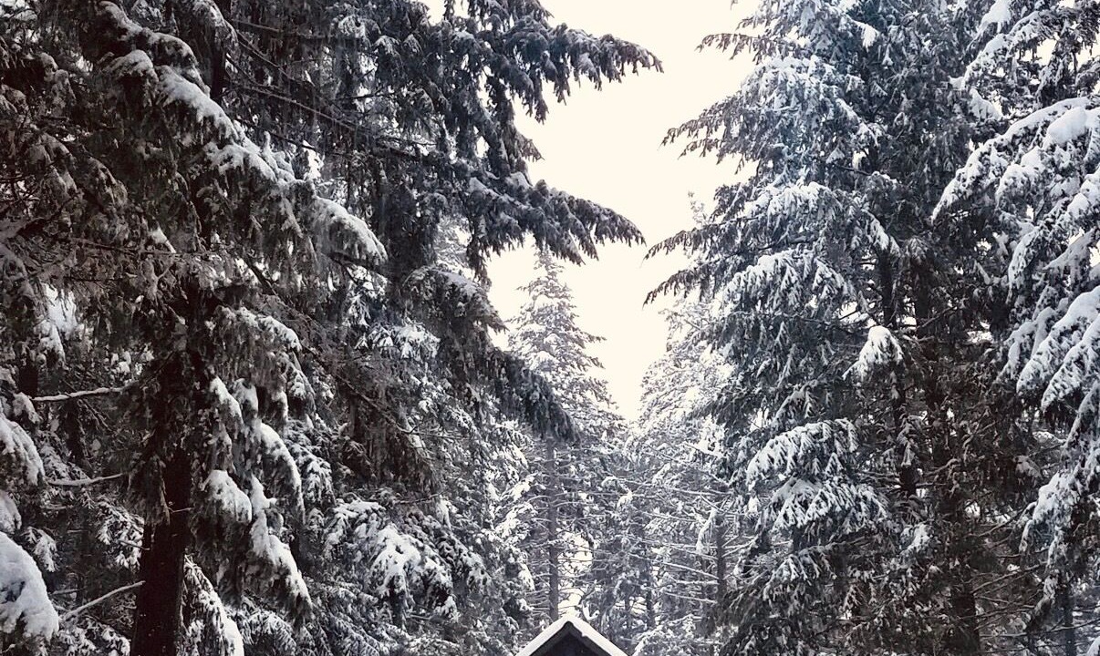 Photo of Outdoor in White Salmon