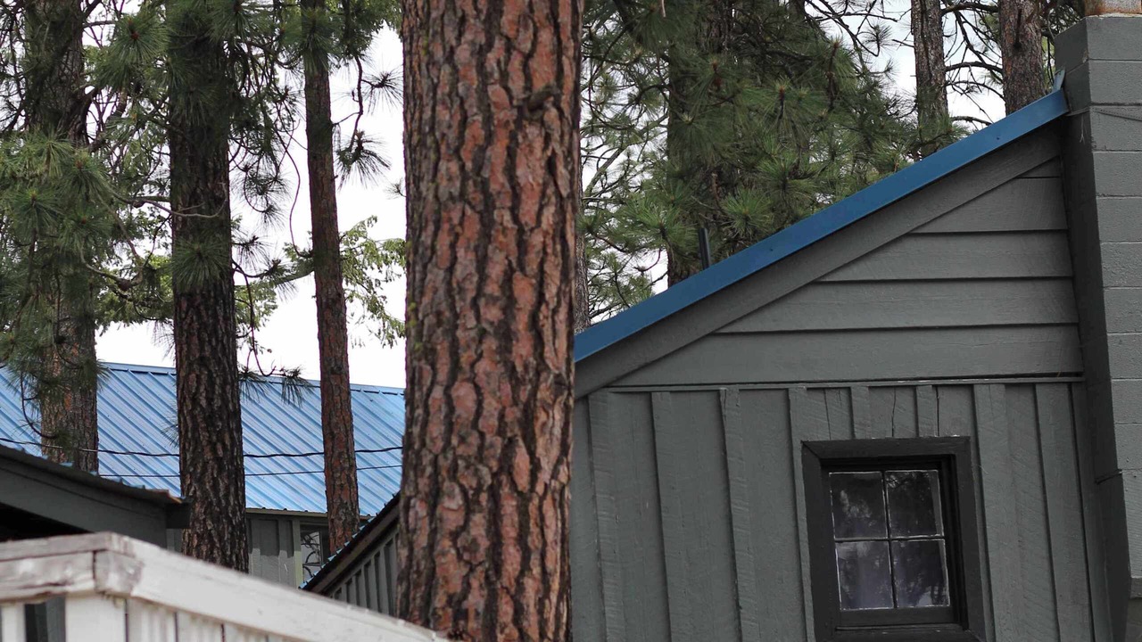 Photo of Others in Loon Lake