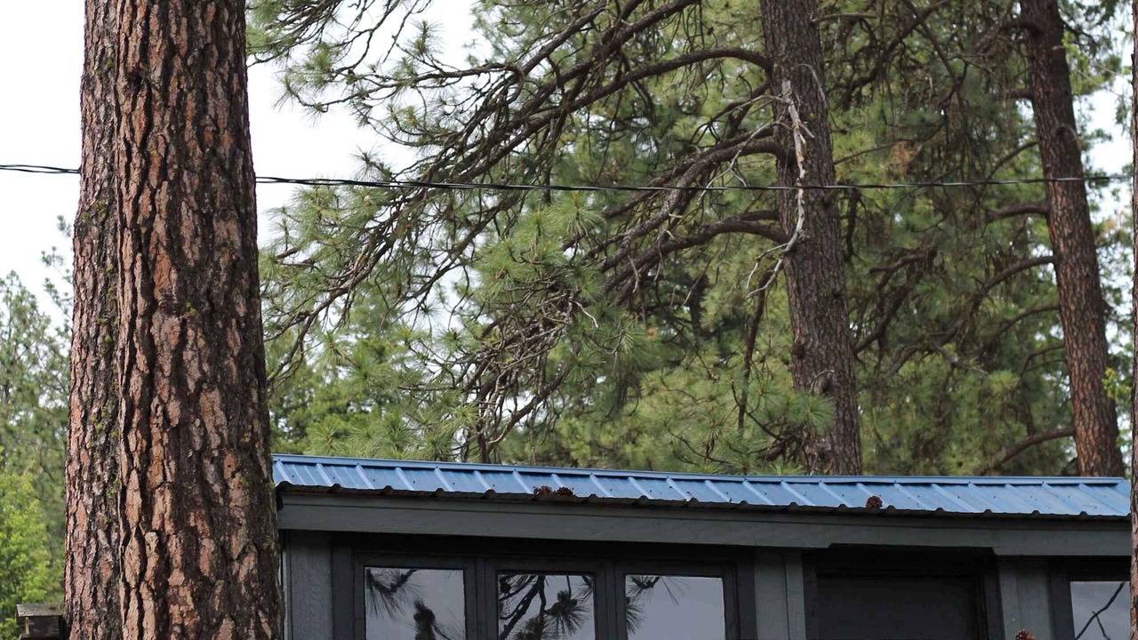 Photo of Outdoor in Loon Lake