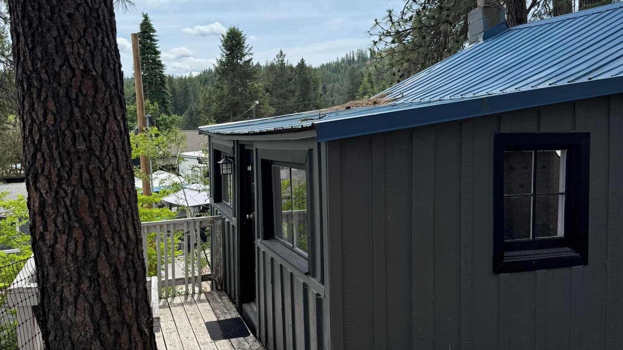 Photo of Outdoor in Loon Lake