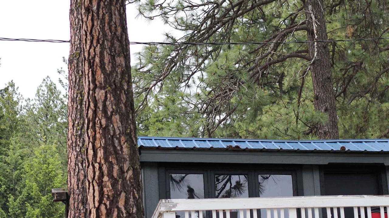 Photo of Outdoor in Loon Lake