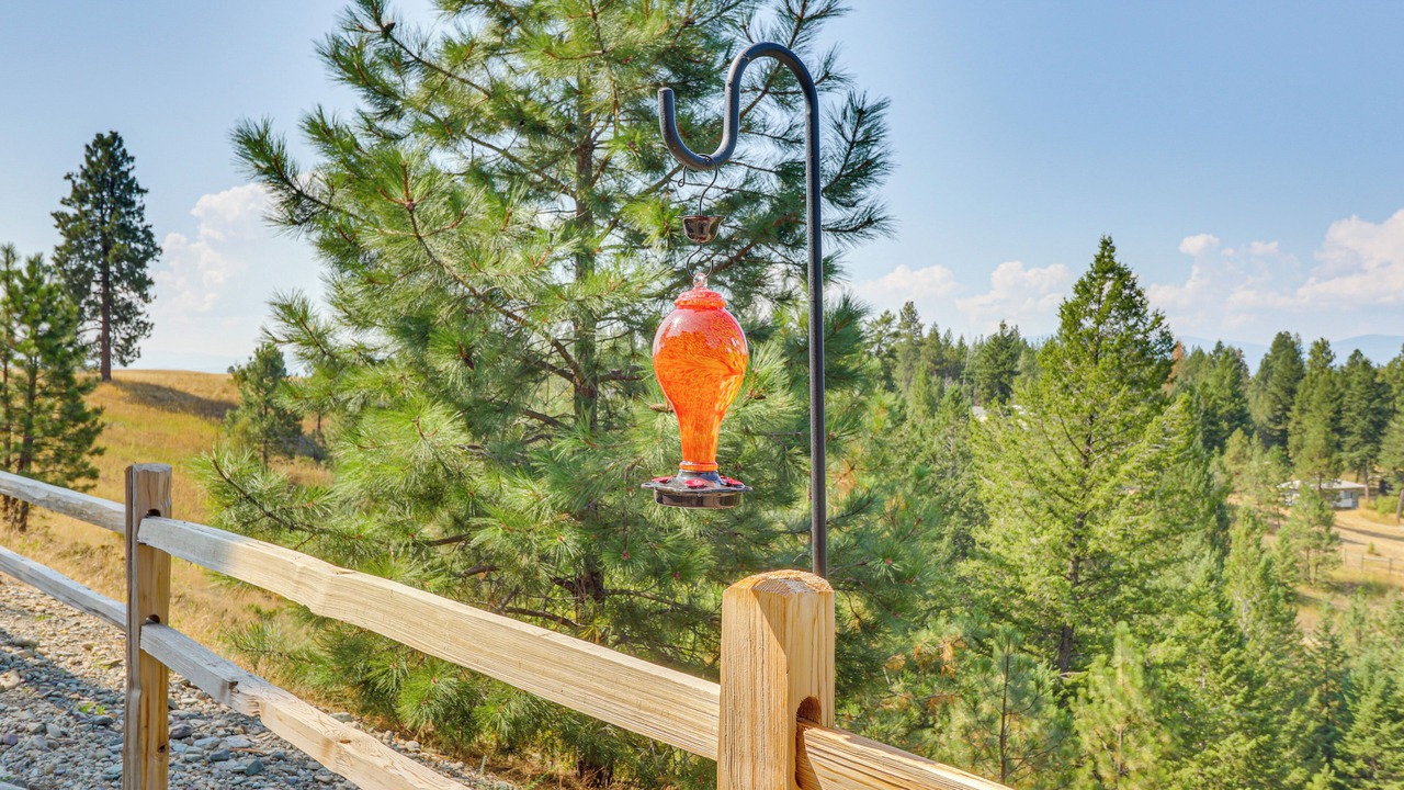 Photo of Outdoor in Eureka