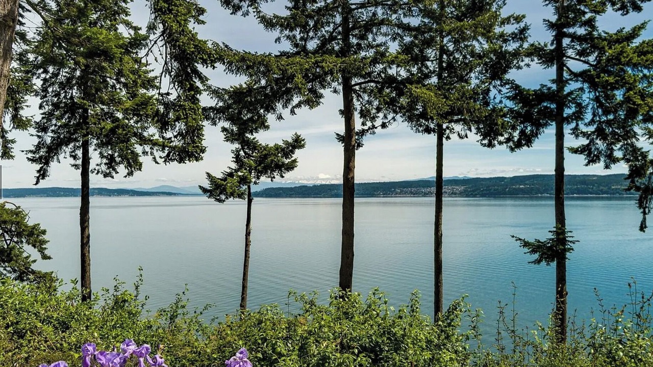 Photo of Outdoor in Coupeville