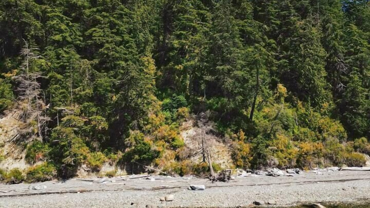 Photo of Others in Lummi Island
