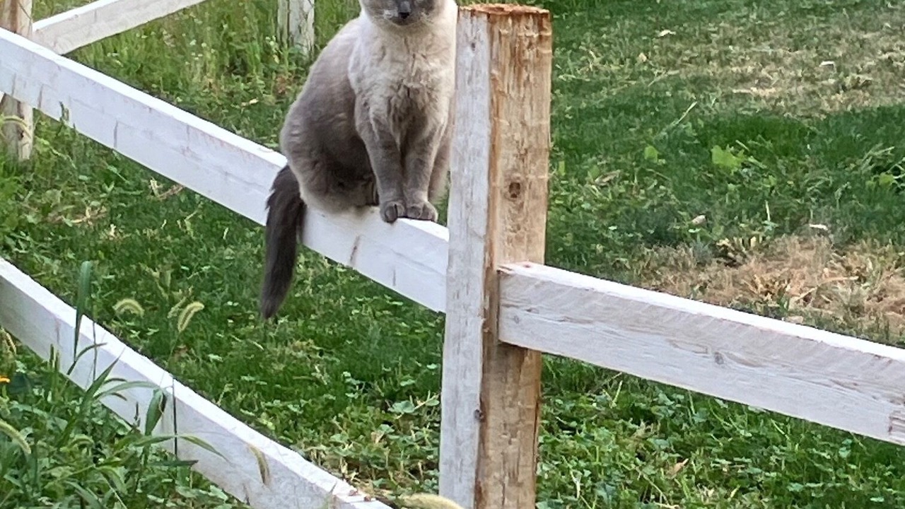Photo of Outdoor in Buhl