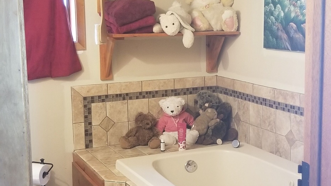 Photo of Bathroom in Kettle Falls