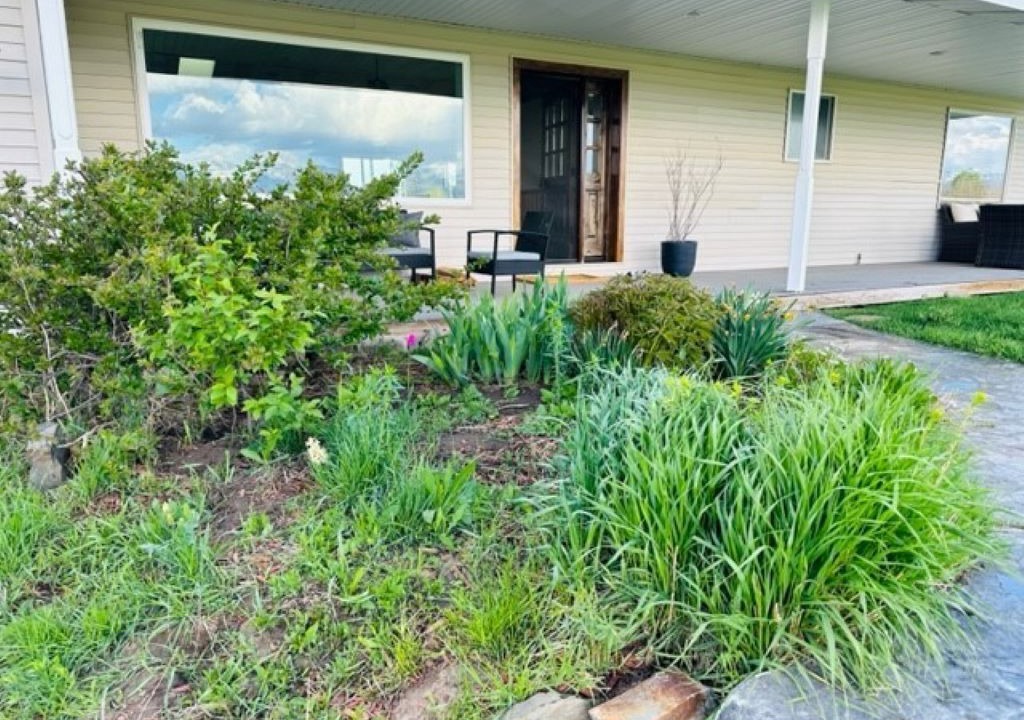 Photo of Outdoor in Driggs