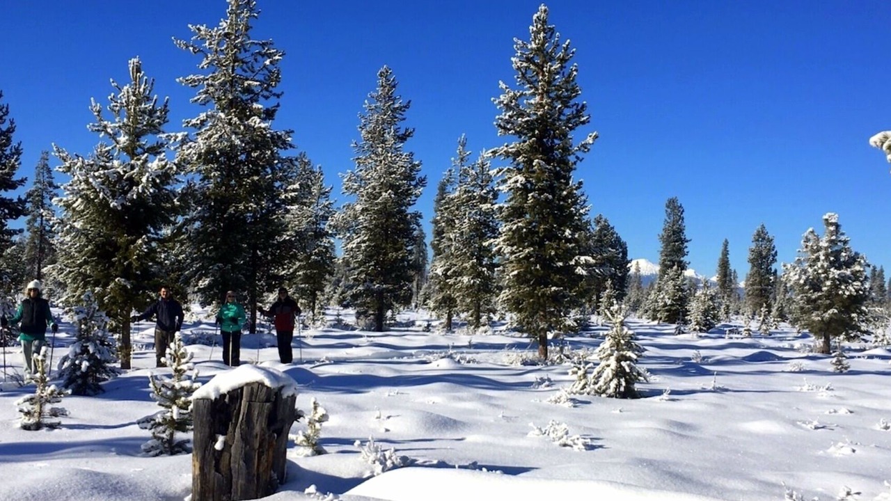 Photo of Others in La Pine