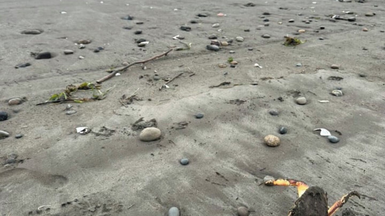 Photo of Others in Westport