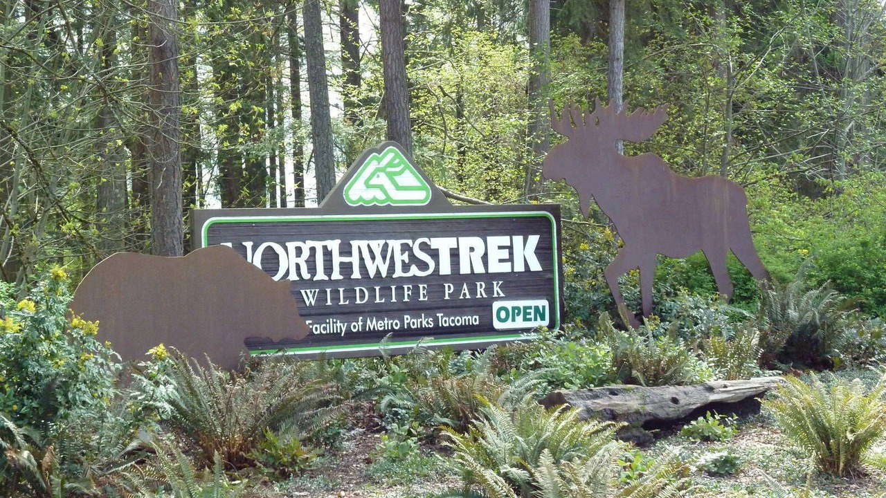 Photo of Outdoor in Eatonville