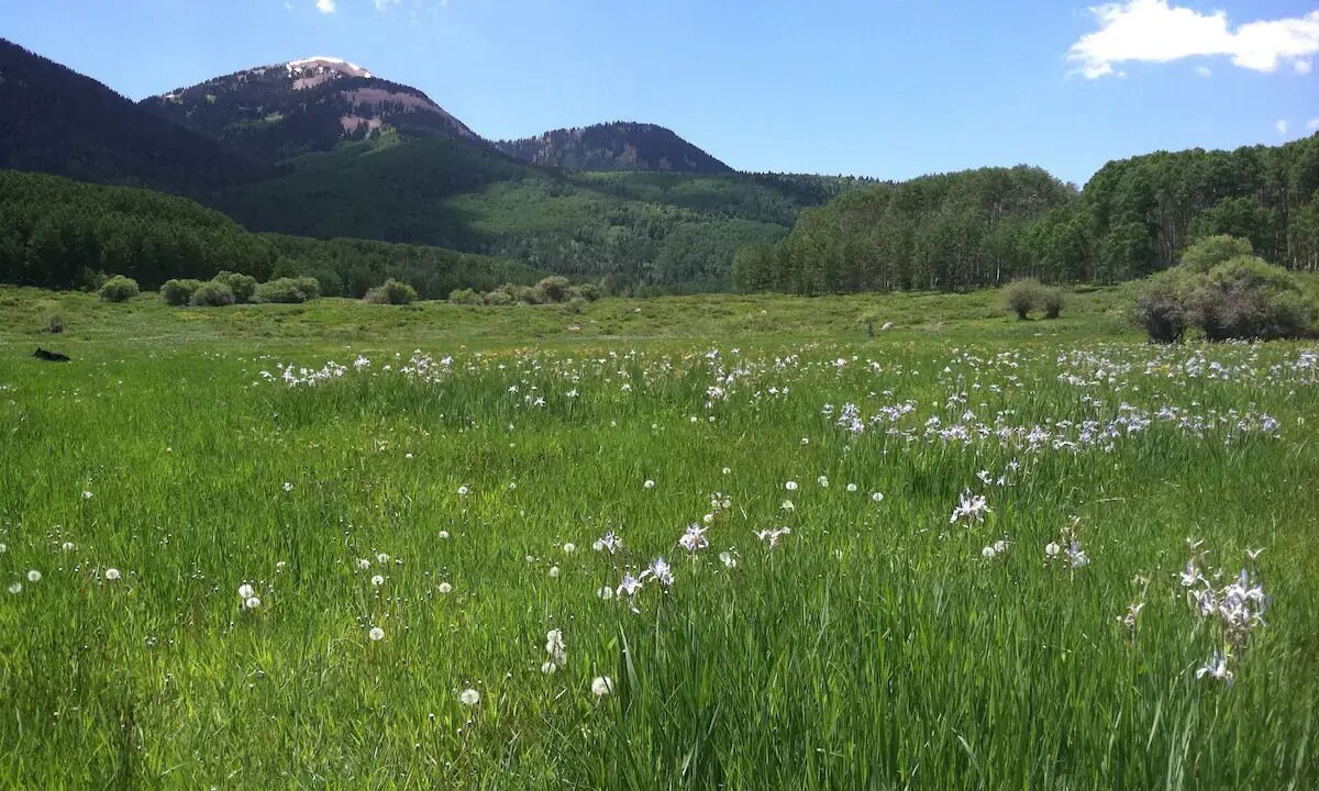 Photo of Others in La Sal
