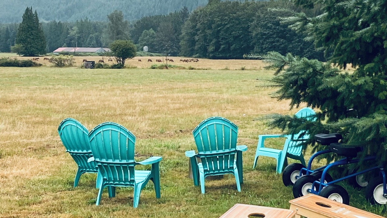 Photo of Outdoor in Sedro-Woolley