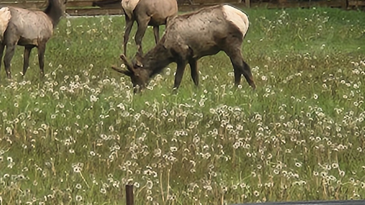 Photo of Others in Sedro-Woolley