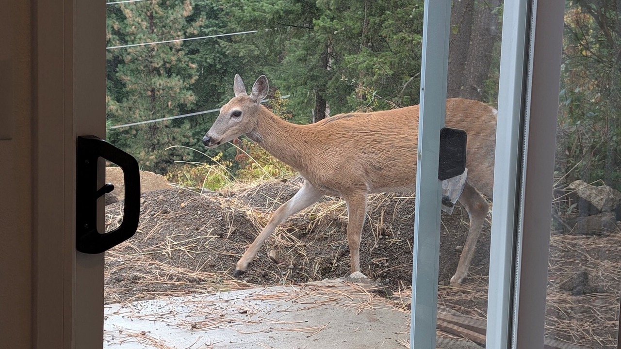 Photo of Others in Coeur d'Alene
