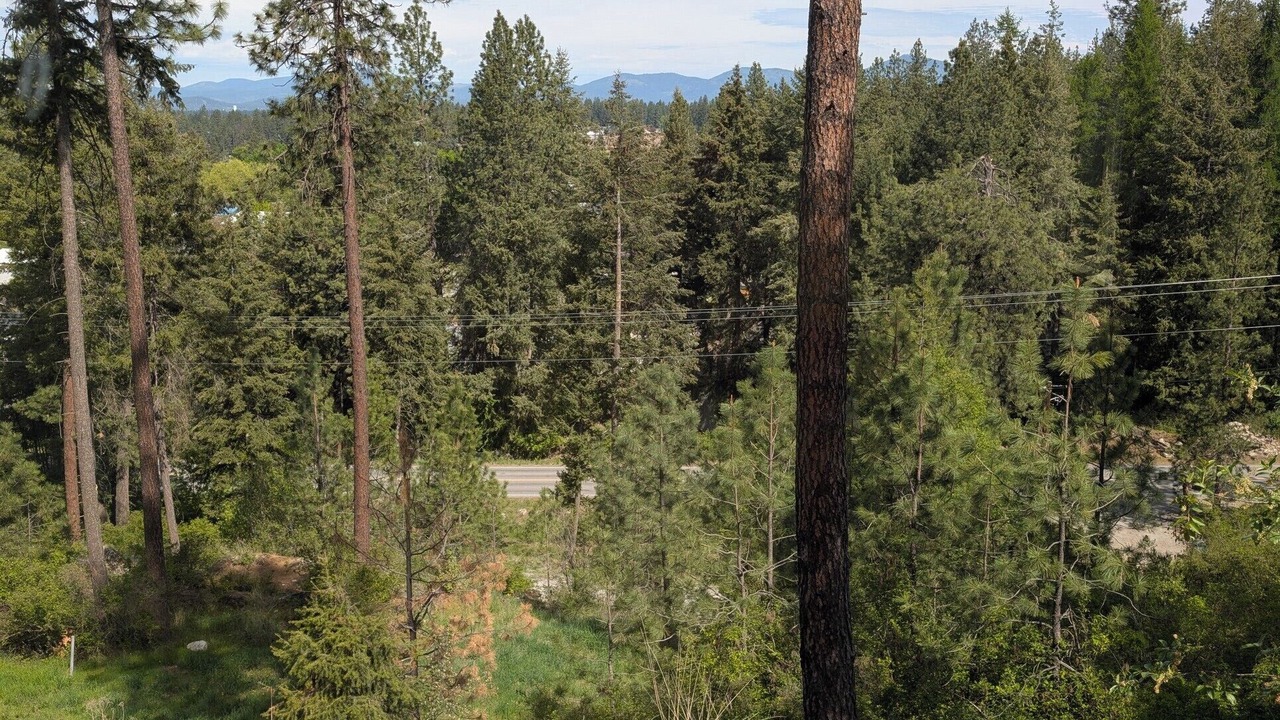 Photo of Others in Coeur d'Alene