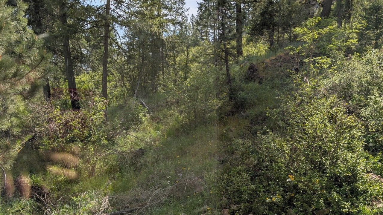 Photo of Others in Coeur d'Alene