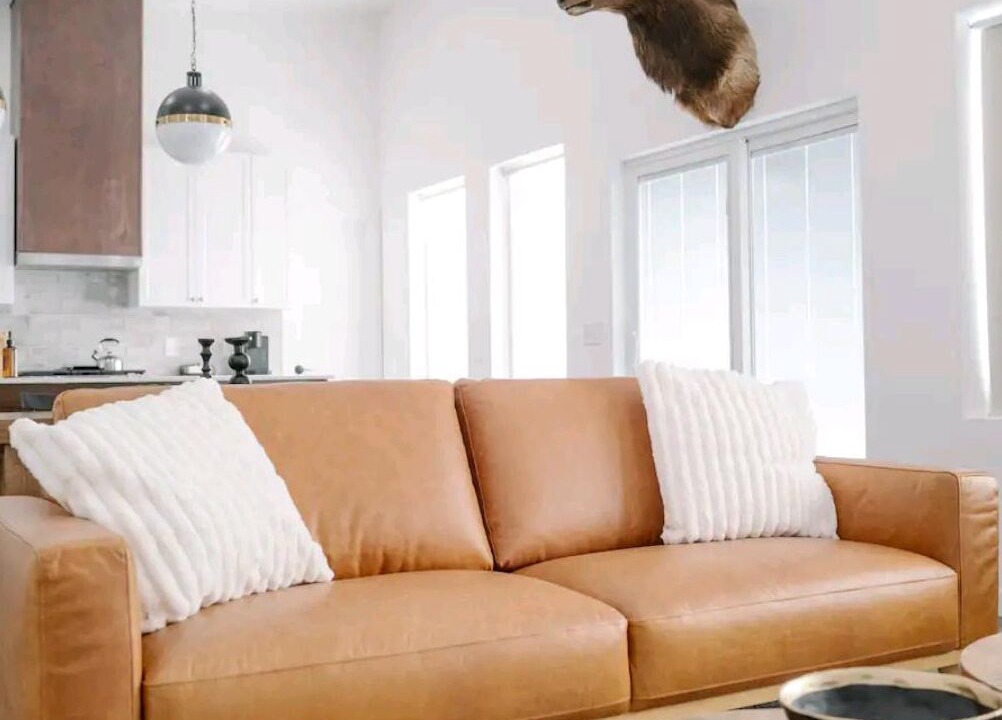 Photo of Livingroom in White Bird