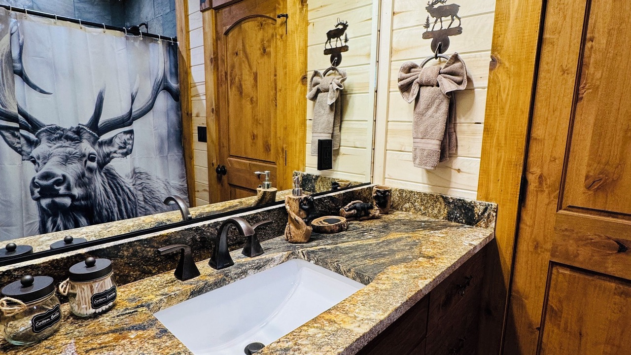 Photo of Bathroom in Island Park
