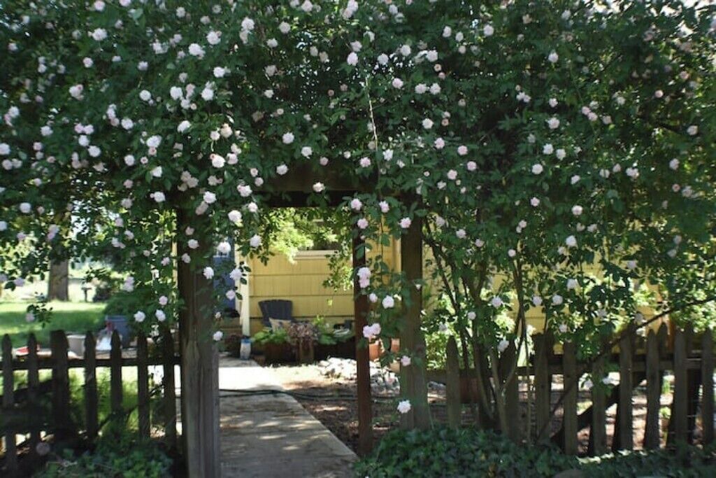 Photo of Outdoor in West Stayton