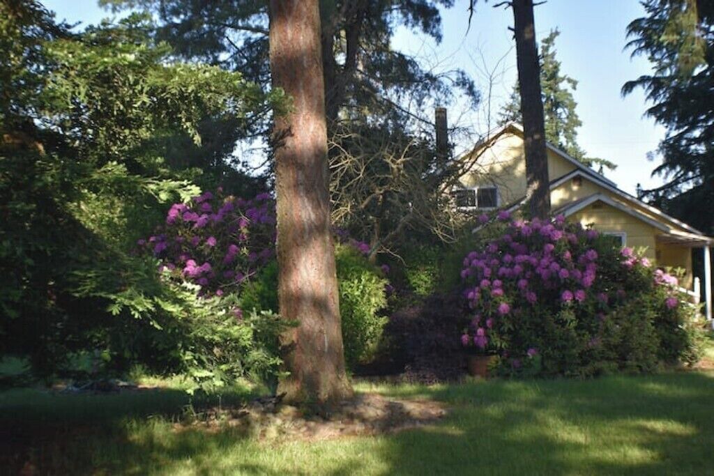 Photo of Outdoor in West Stayton