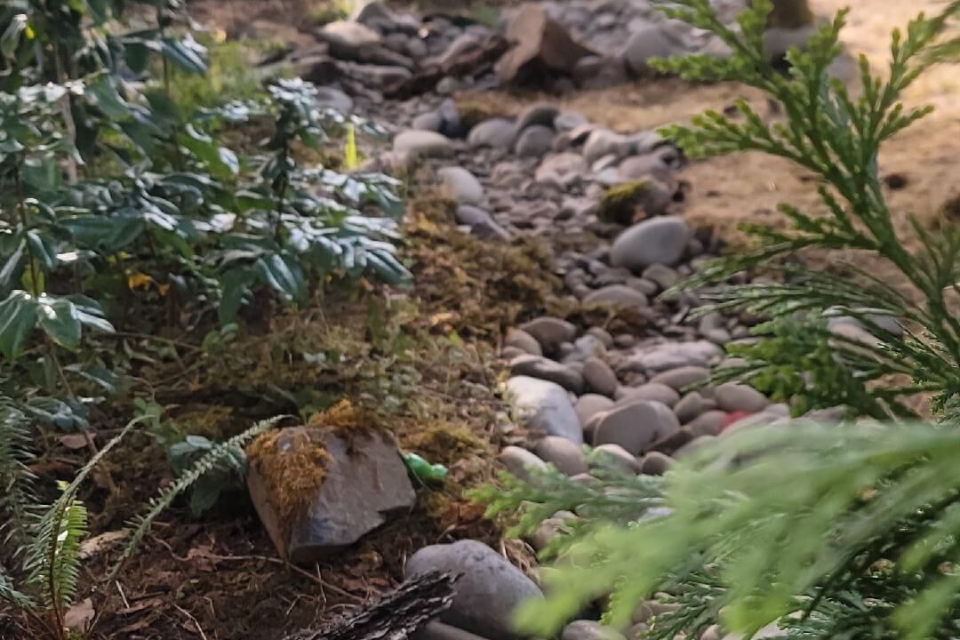 Photo of Outdoor in West Stayton