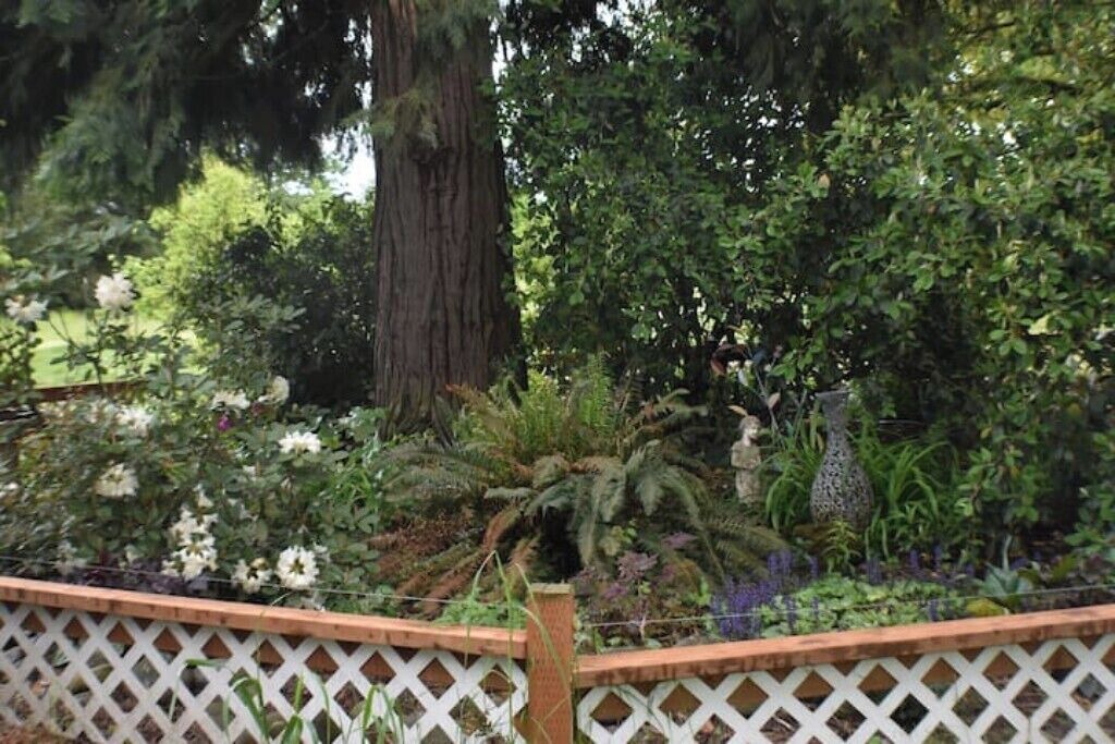 Photo of Outdoor in West Stayton