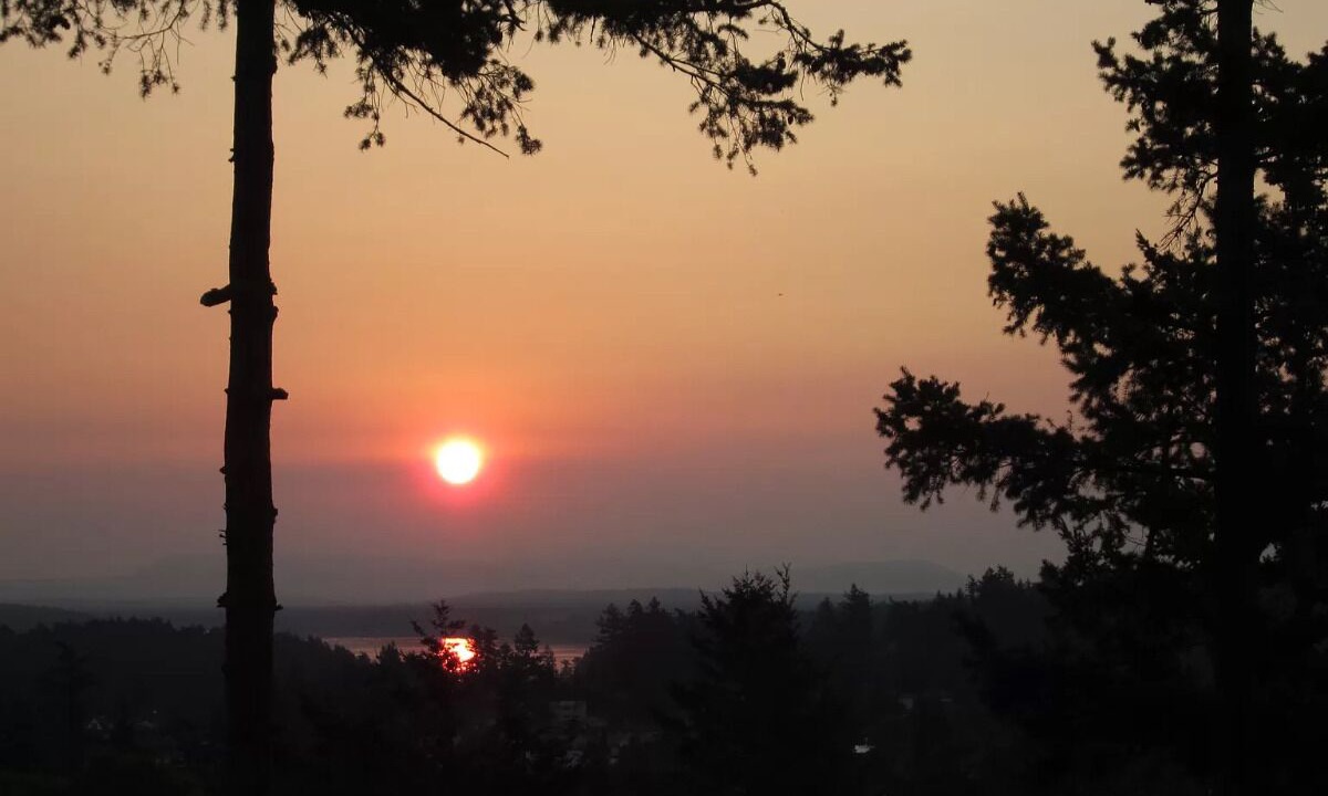 Photo of Outdoor in Friday Harbor