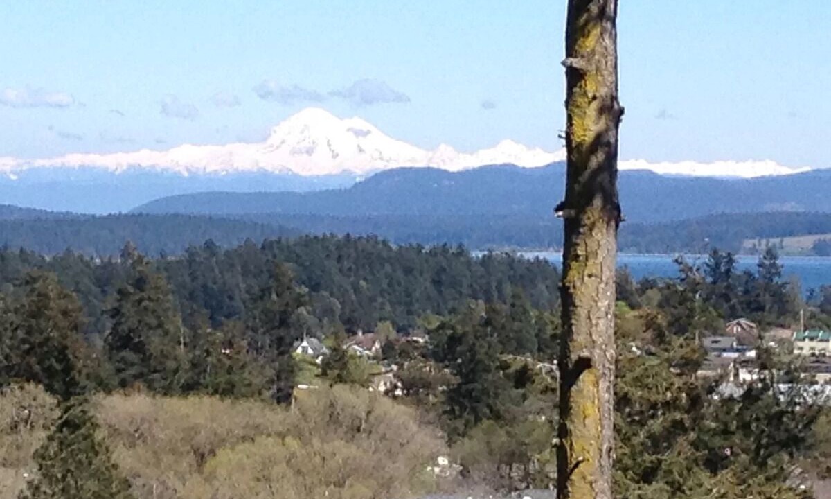 Photo of Outdoor in Friday Harbor