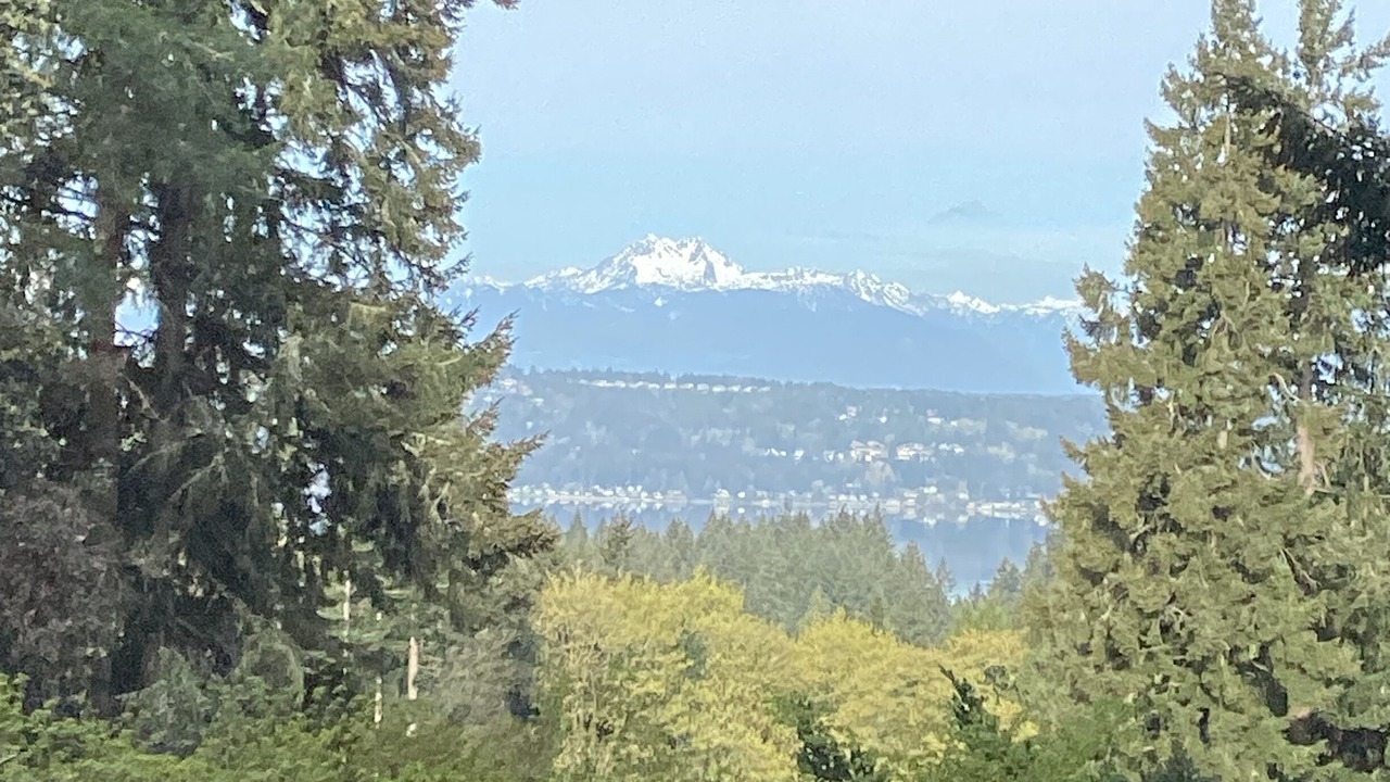 Photo of Outdoor in Tracyton