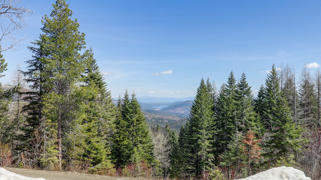 Photo of Outdoor in Mead