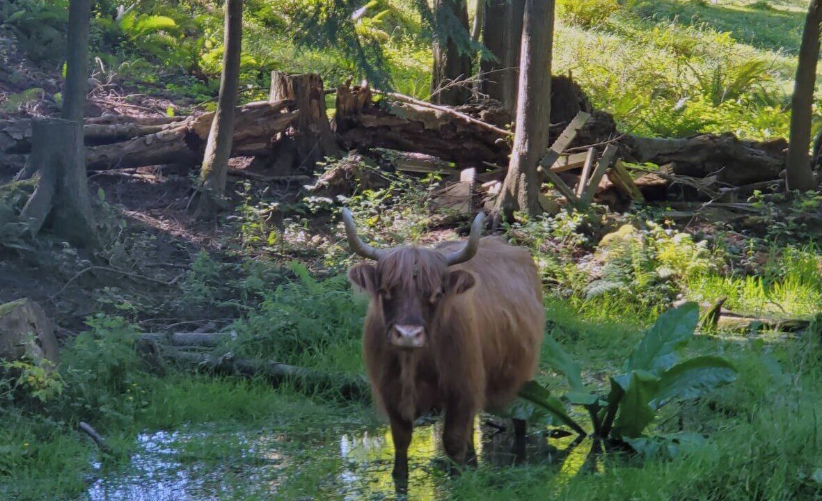 Photo of Others in Mount Vernon