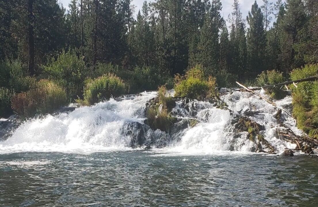 Photo of Others in La Pine