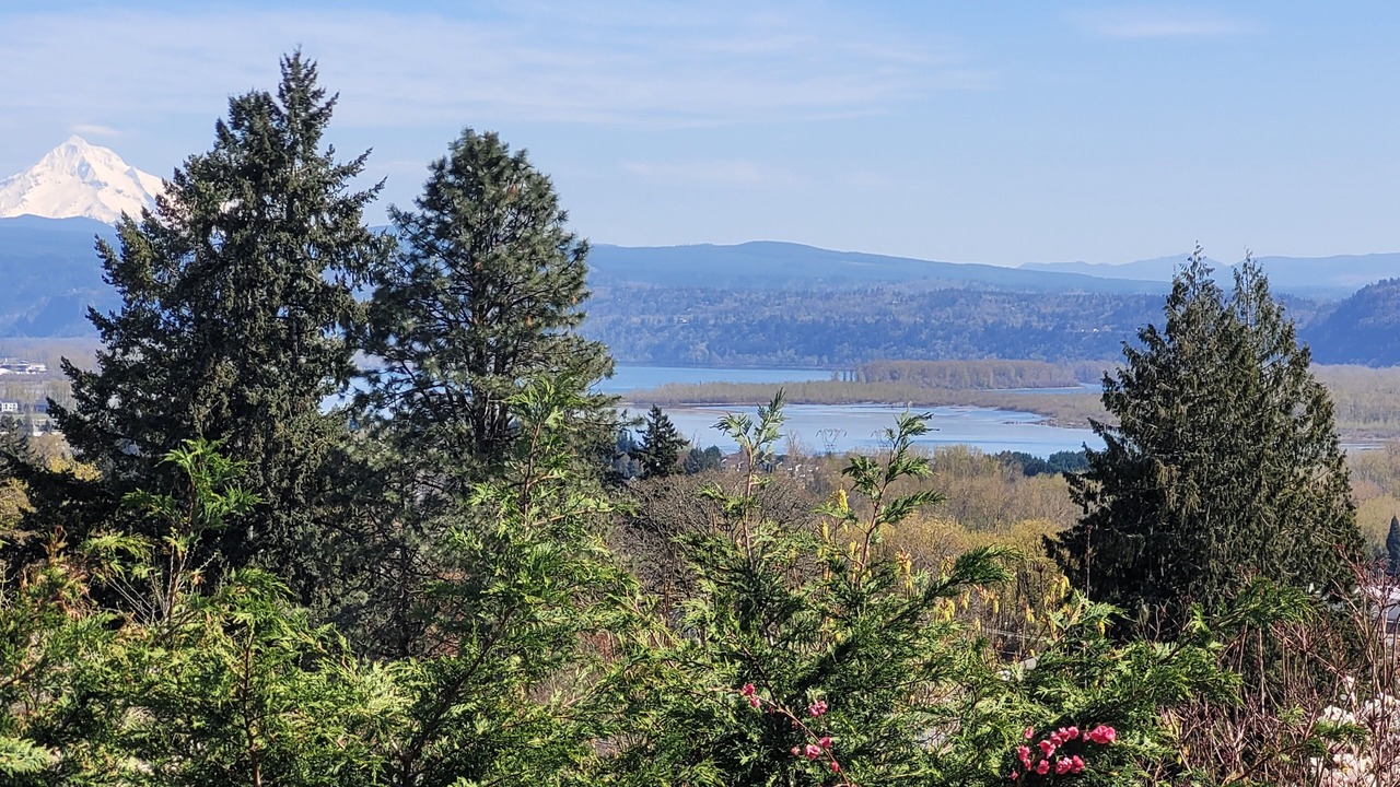 Photo of Outdoor in Camas