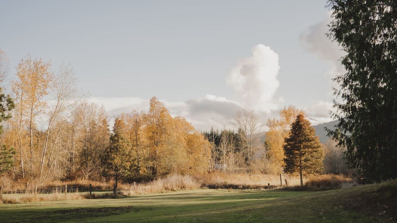 Photo of Others in Port Angeles