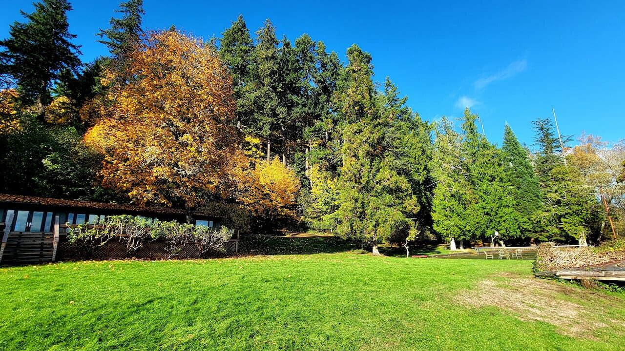 Photo of Outdoor in Bremerton