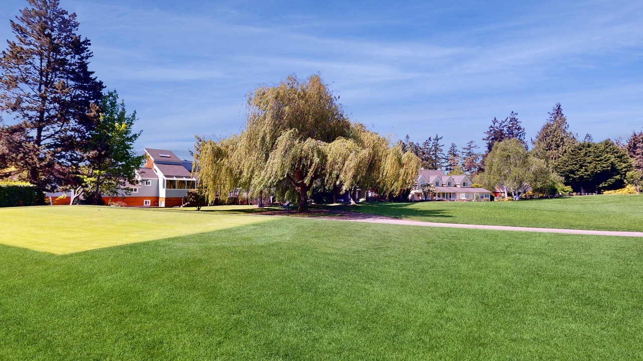 Photo of Outdoor in Bainbridge Island