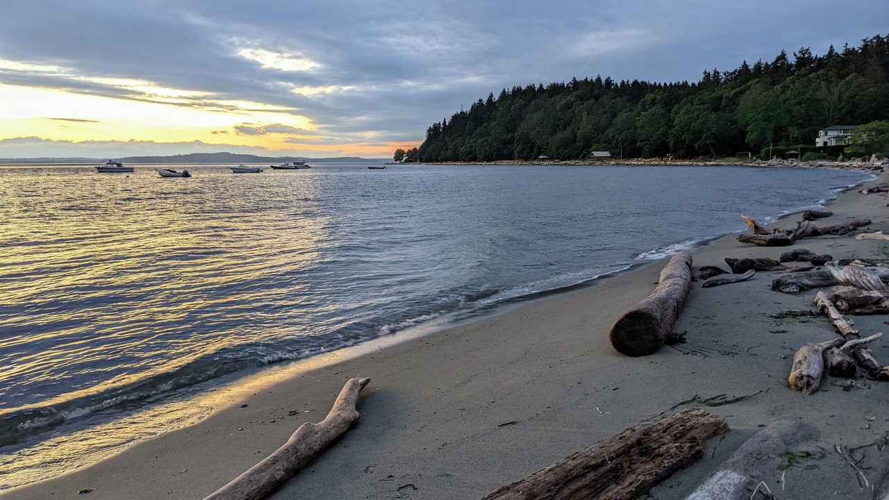 Photo of Others in Fauntleroy