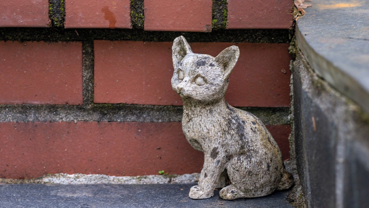 Photo of Outdoor in Fauntleroy