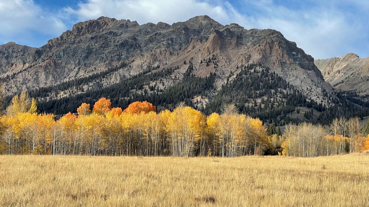 Photo of Outdoor in Elkhorn Village