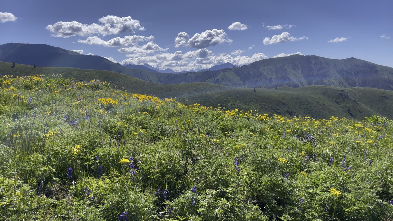 Photo of Outdoor in Elkhorn Village