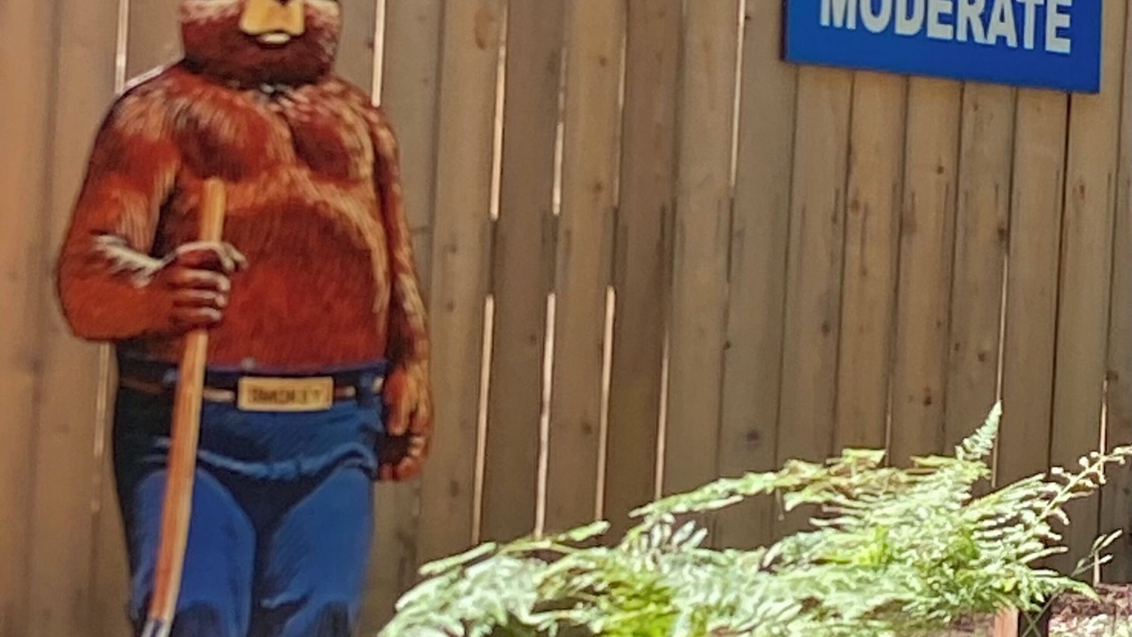 Photo of Others in Sunny Valley