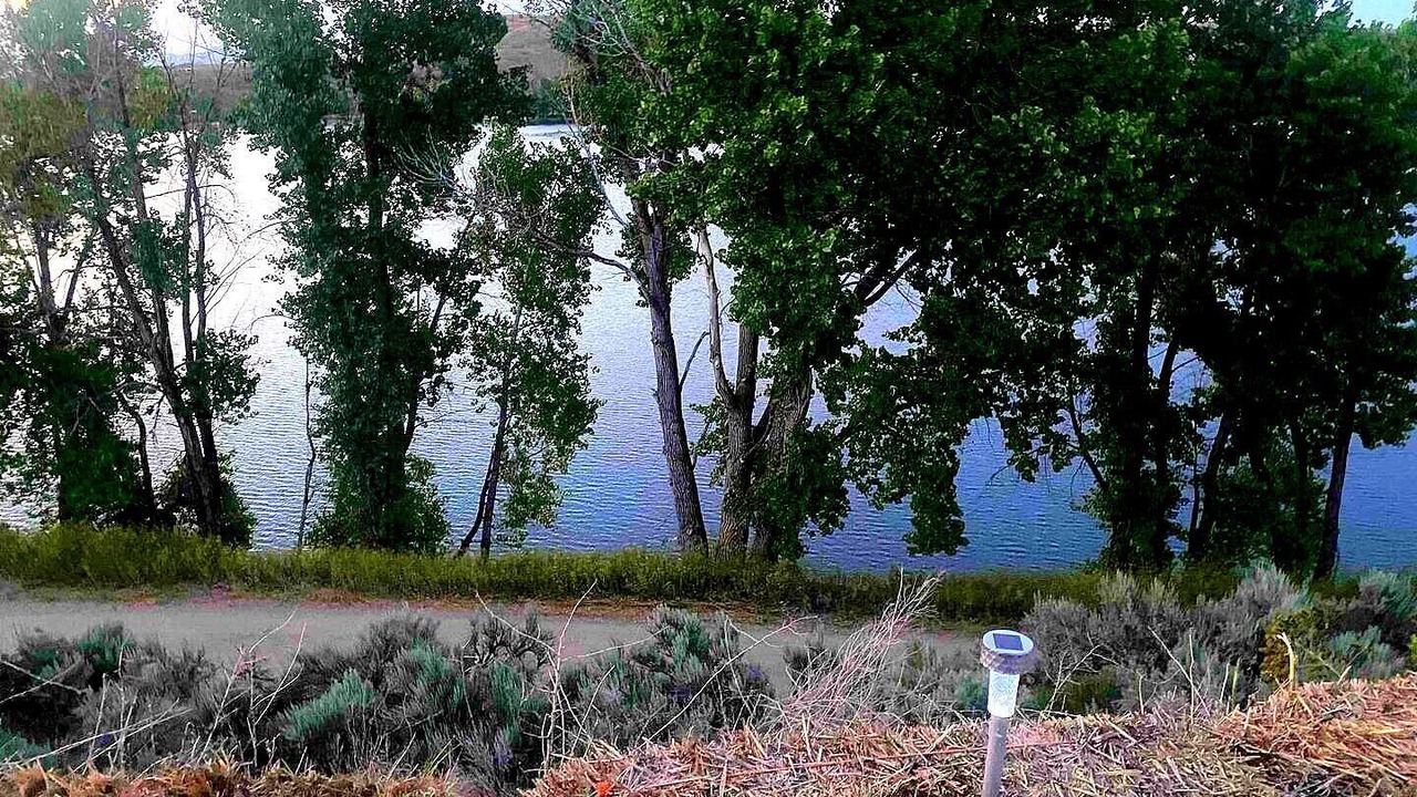 Photo of Outdoor in Swanlake