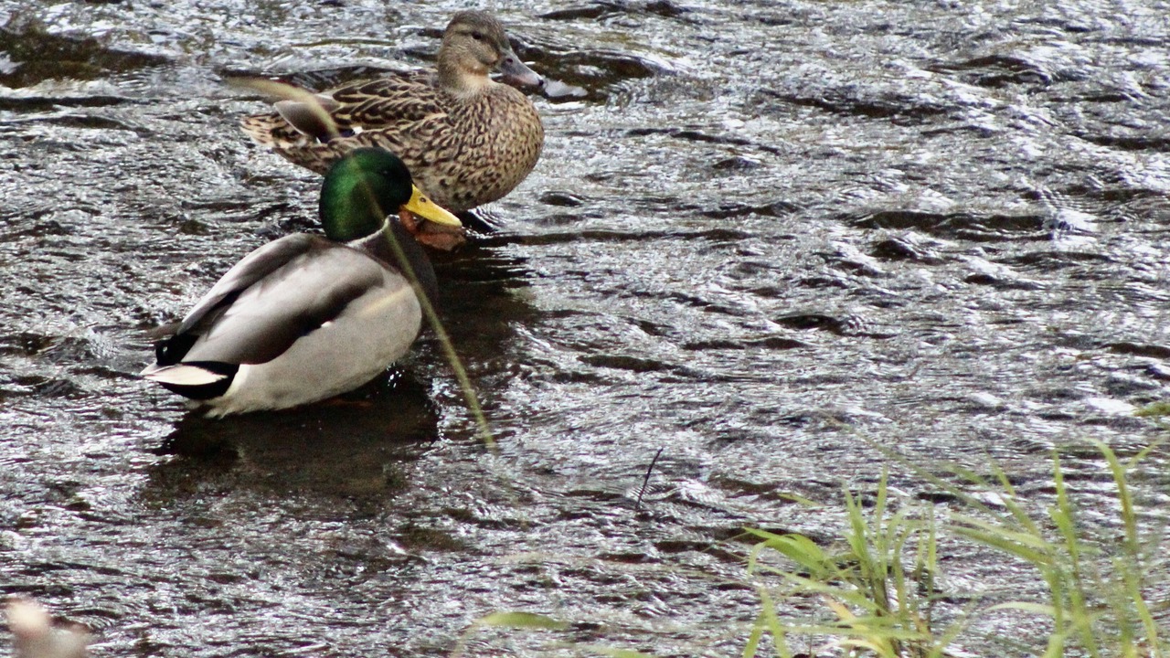 Photo of Others in Eagle Point