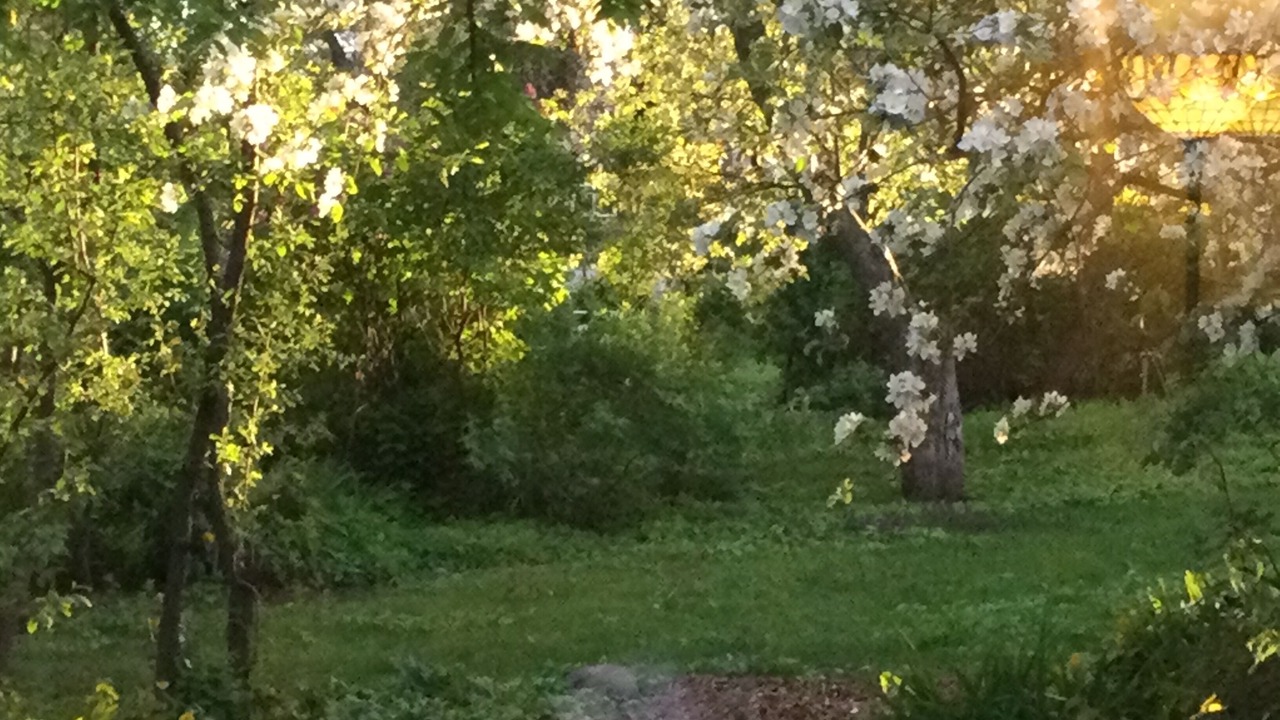 Photo of Outdoor in Veradale