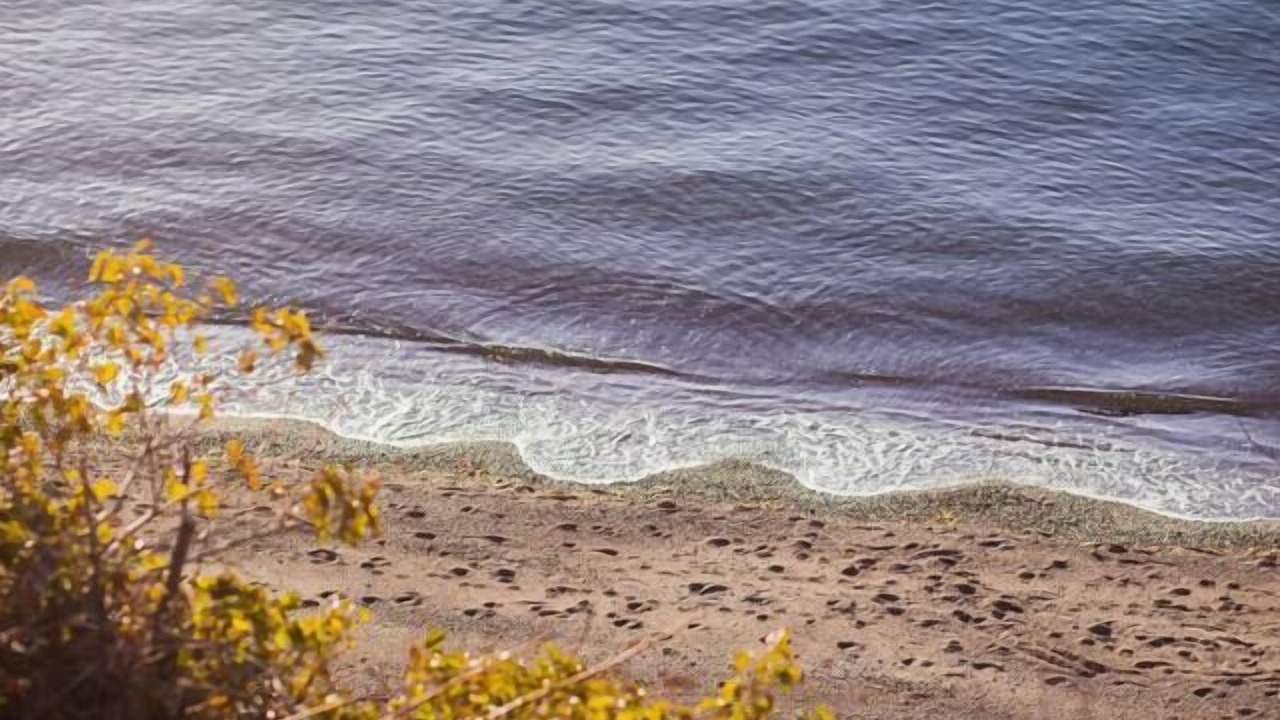 Photo of Others in Lummi Island
